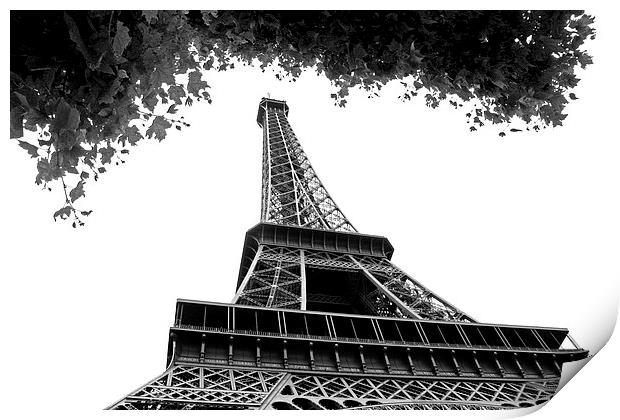   Eiffel Tower  Print by David Chennell
