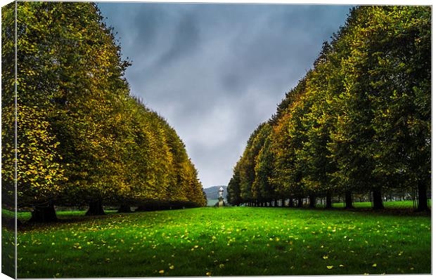  Tree line Canvas Print by Gary Schulze