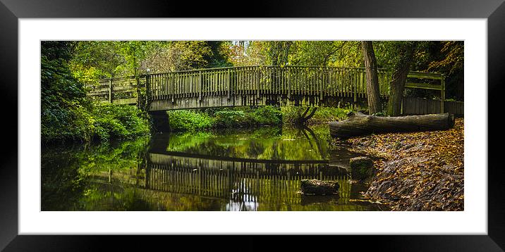  Reflections Framed Mounted Print by Gary Schulze