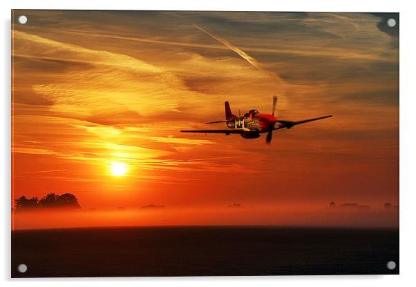 Red Tail Sunrise Acrylic by J Biggadike
