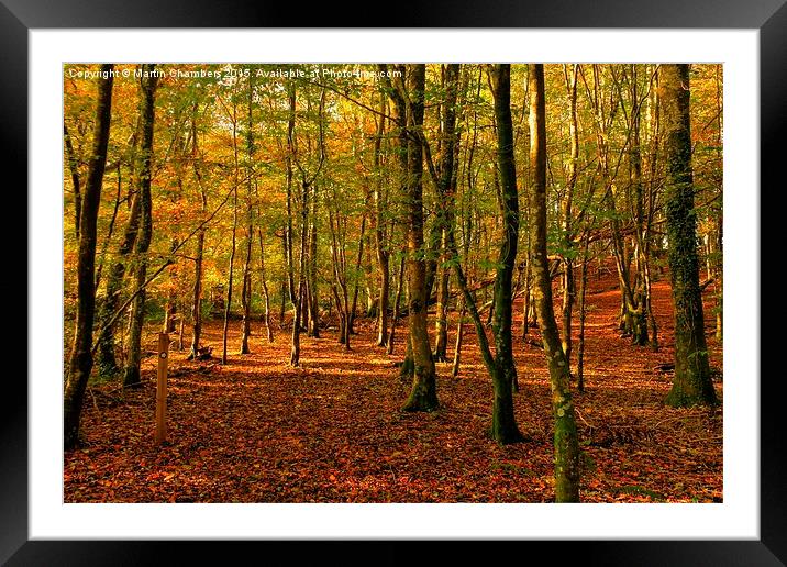  Autumn Woodland Walk Framed Mounted Print by Martin Chambers