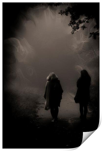  Into the unknown Print by sylvia scotting