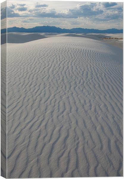  White Sands NM Canvas Print by Chris Pickett