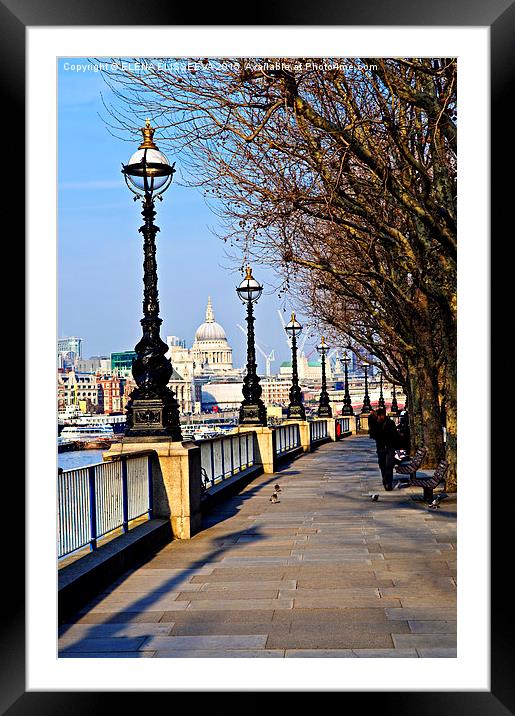 London view from South Bank Framed Mounted Print by ELENA ELISSEEVA
