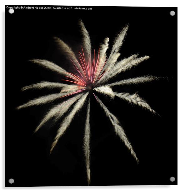  Trentham Gardens Firewworks Acrylic by Andrew Heaps