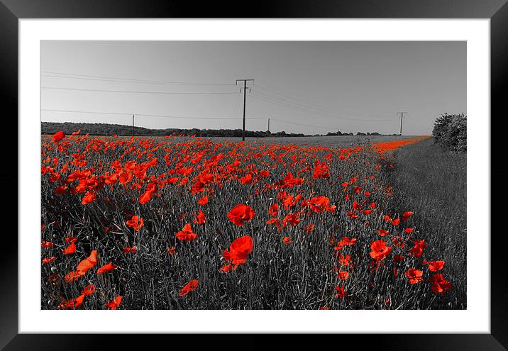 Train of Poppies  Framed Mounted Print by Darren Galpin