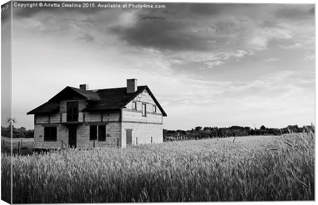 Undone disused house in field Canvas Print by Arletta Cwalina