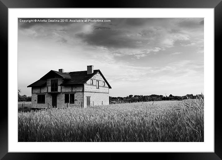 Undone disused house in field Framed Mounted Print by Arletta Cwalina