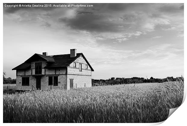 Undone disused house in field Print by Arletta Cwalina