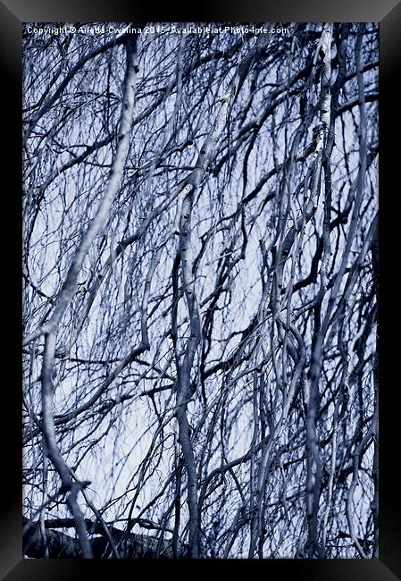 Fall twigs blue tone Framed Print by Arletta Cwalina