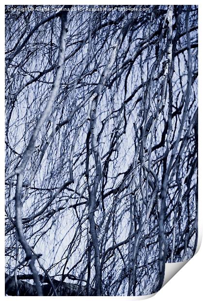 Fall twigs blue tone Print by Arletta Cwalina