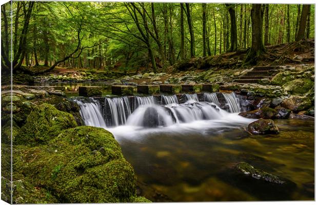  Stepping Stones Tollymore Forest Mournes Ireland Canvas Print by Chris Curry