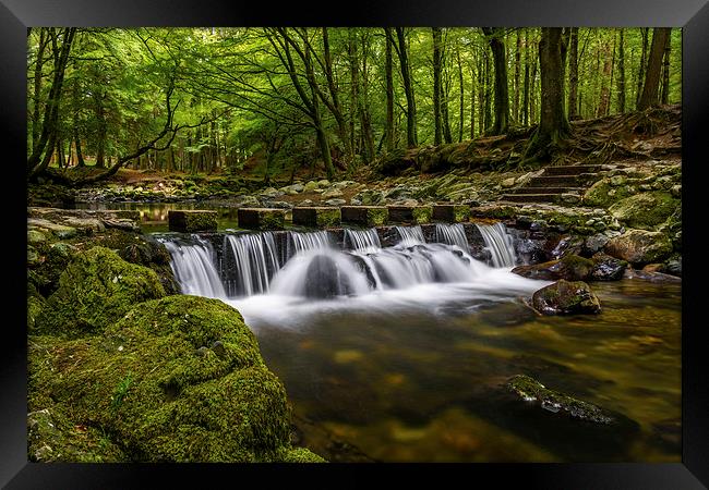  Stepping Stones Tollymore Forest Mournes Ireland Framed Print by Chris Curry