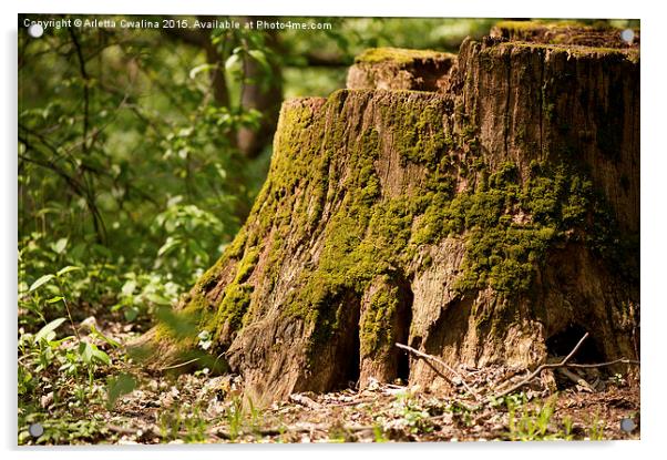 Dead tree stump moss grown Acrylic by Arletta Cwalina