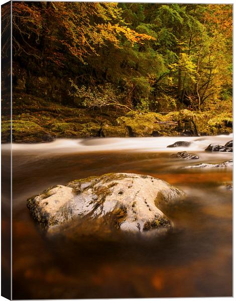  The River Braan, Perthshire, Scotland. Canvas Print by Tommy Dickson