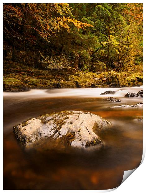  The River Braan, Perthshire, Scotland. Print by Tommy Dickson