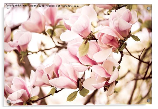 Pink Magnolia vintage fine art Acrylic by Arletta Cwalina