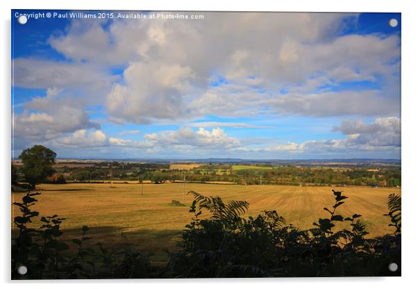  A Shropshire Landscape Acrylic by Paul Williams