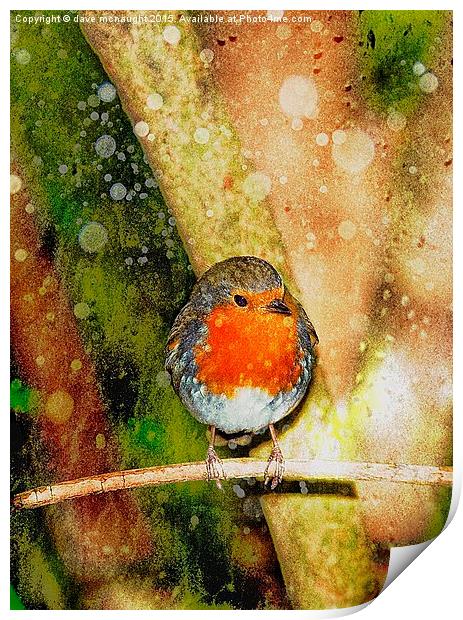  Beautiful Robin Print by dave mcnaught