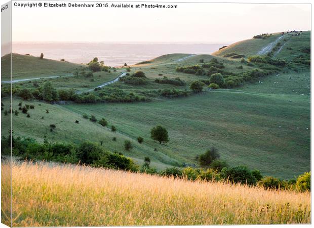  Ivinghoe Beacon View in September Canvas Print by Elizabeth Debenham