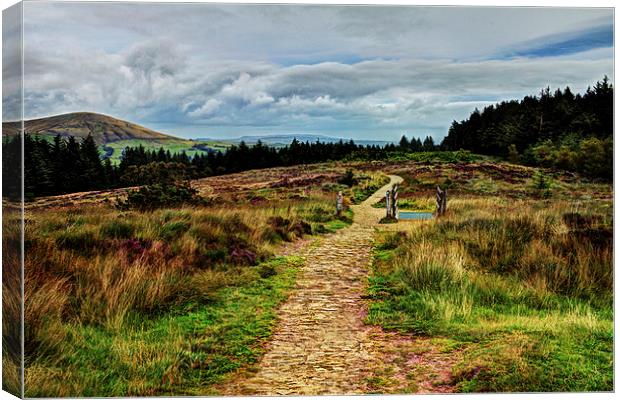  Path from the Summit Canvas Print by David McCulloch