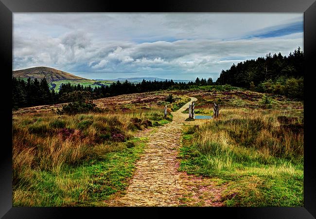  Path from the Summit Framed Print by David McCulloch