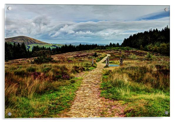  Path from the Summit Acrylic by David McCulloch