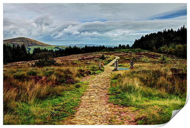  Path from the Summit Print by David McCulloch