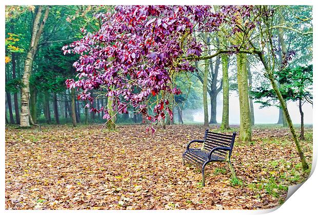 Autumn Colour in the Park  Print by Valerie Paterson