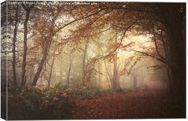  Mystical Autumn Woodland Canvas Print by Alyson Fennell