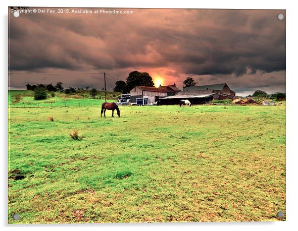  horses on the farm Acrylic by Derrick Fox Lomax