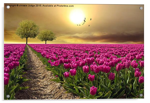  field of tulips  Acrylic by Heaven's Gift xxx68