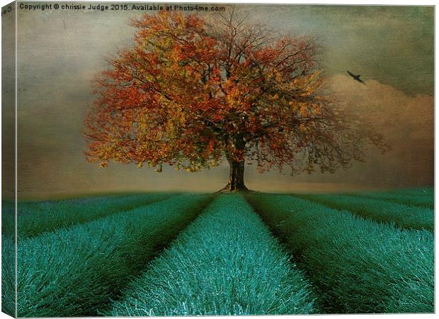  The Autumn tree  Canvas Print by Heaven's Gift xxx68