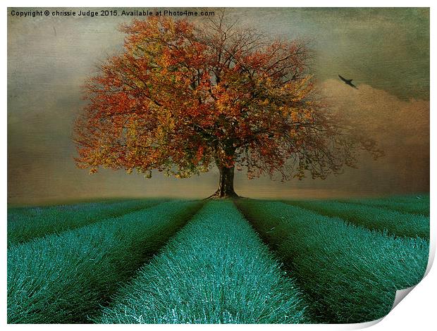  The Autumn tree  Print by Heaven's Gift xxx68