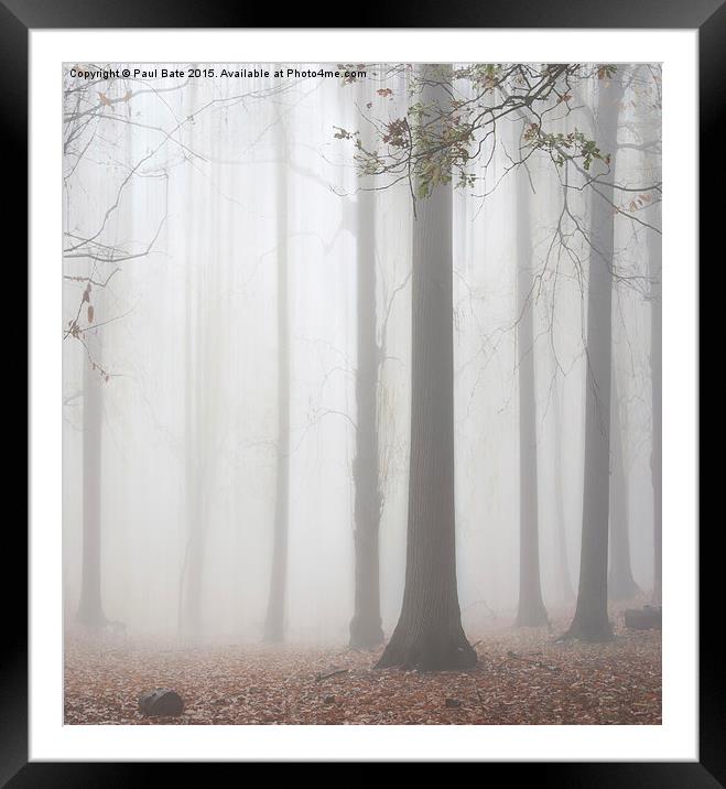  Misty Woodland Framed Mounted Print by Paul Bate