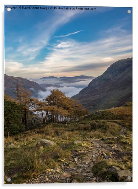  Lake District Views Acrylic by David Attenborough