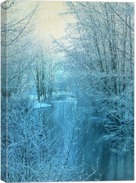  Winter River Canvas Print by Svetlana Sewell