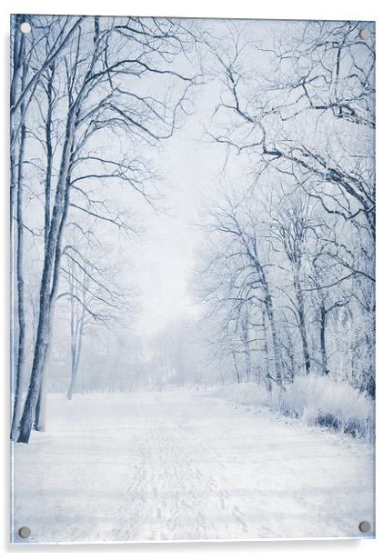  Winter Path Acrylic by Svetlana Sewell
