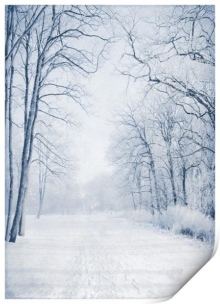  Winter Path Print by Svetlana Sewell