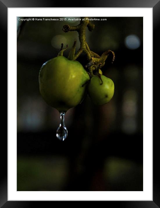  A little drop of water Framed Mounted Print by Hans Franchesco
