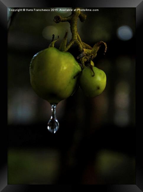  A little drop of water Framed Print by Hans Franchesco