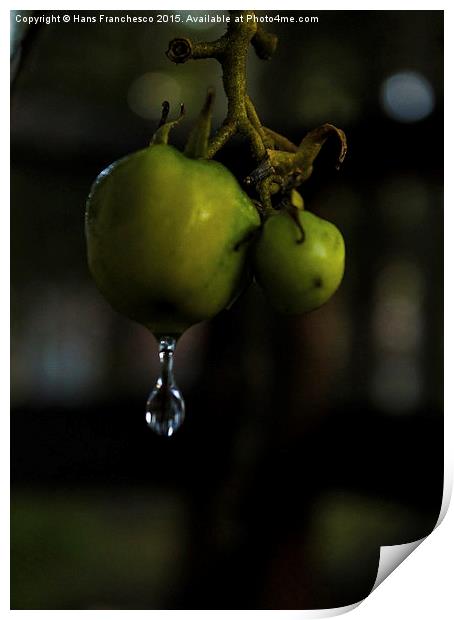  A little drop of water Print by Hans Franchesco