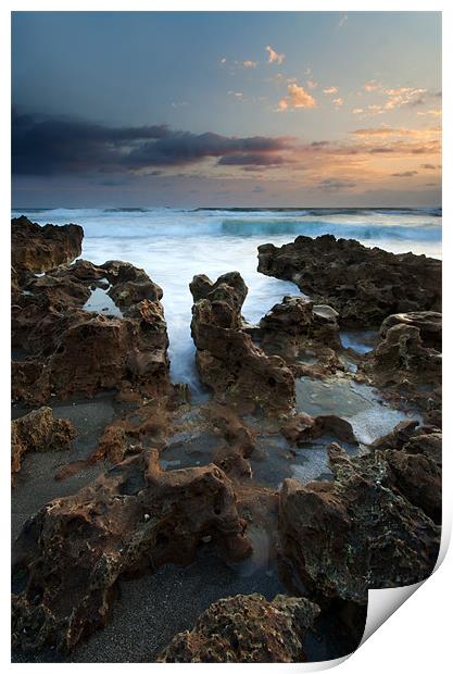 Coral Cove Sunrise Print by Mike Dawson