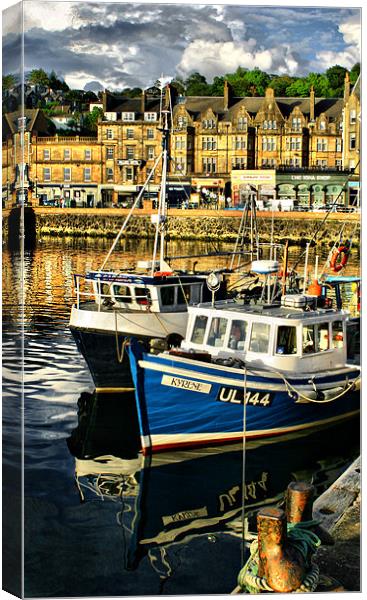 Oban Harbour Canvas Print by Tommy Reilly