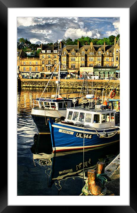 Oban Harbour Framed Mounted Print by Tommy Reilly