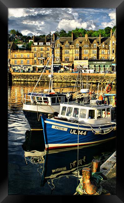 Oban Harbour Framed Print by Tommy Reilly
