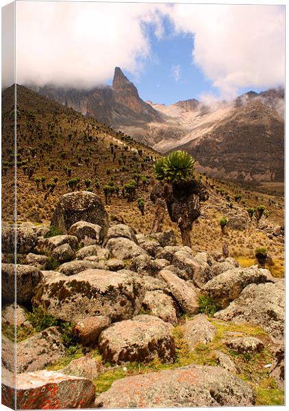 Approach to Mount Kenya Canvas Print by John Russell