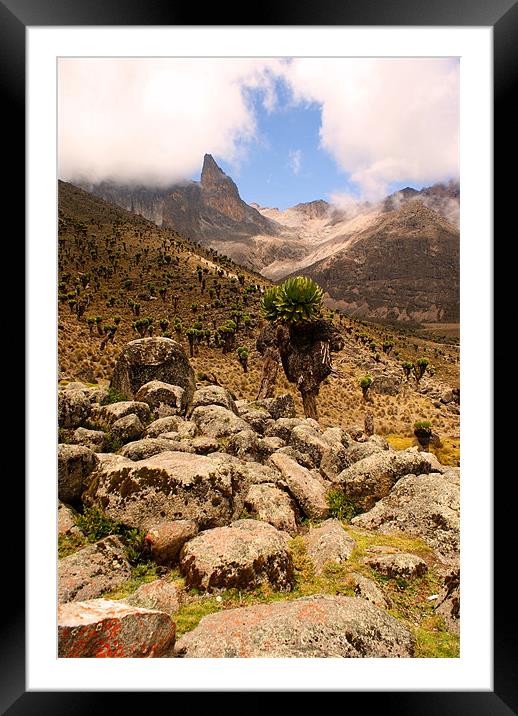 Approach to Mount Kenya Framed Mounted Print by John Russell