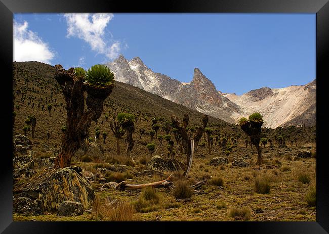 Mount Kenya from 14000ft Framed Print by John Russell