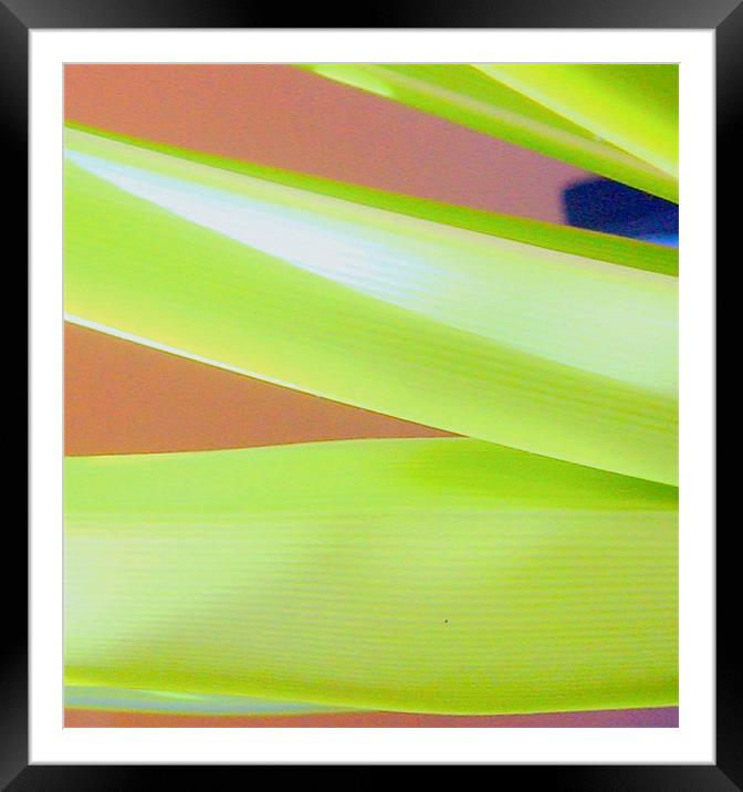 Structure and Form Framed Mounted Print by Heather Gale